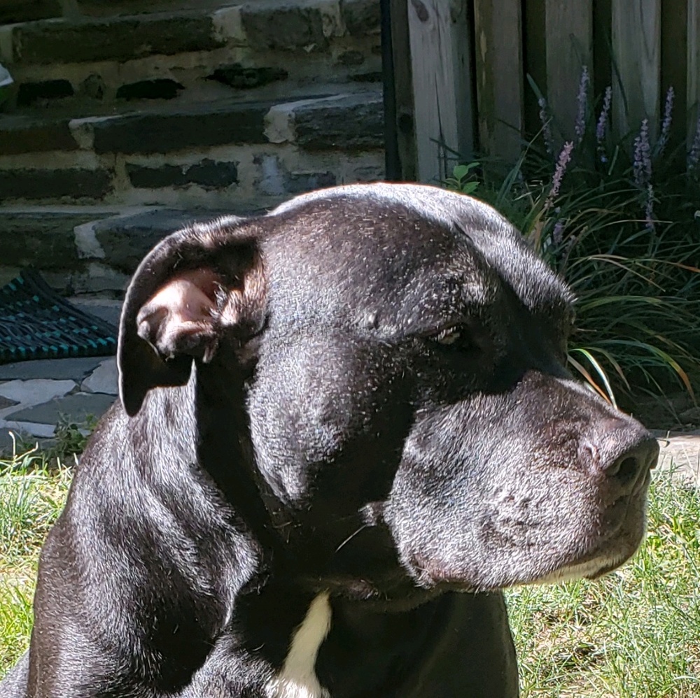 Meet your Posher, Sanna